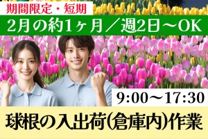 球根のピッキング・入出荷倉庫内作業