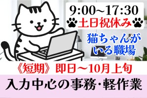 データ入力事務中心の事務スタッフ